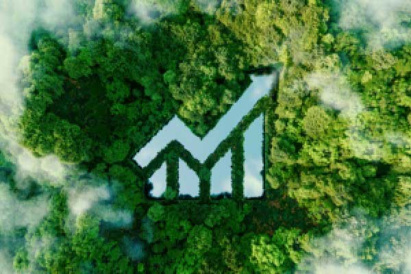 摩根士丹利的威尔逊表示 美国利润前景很少如此糟糕